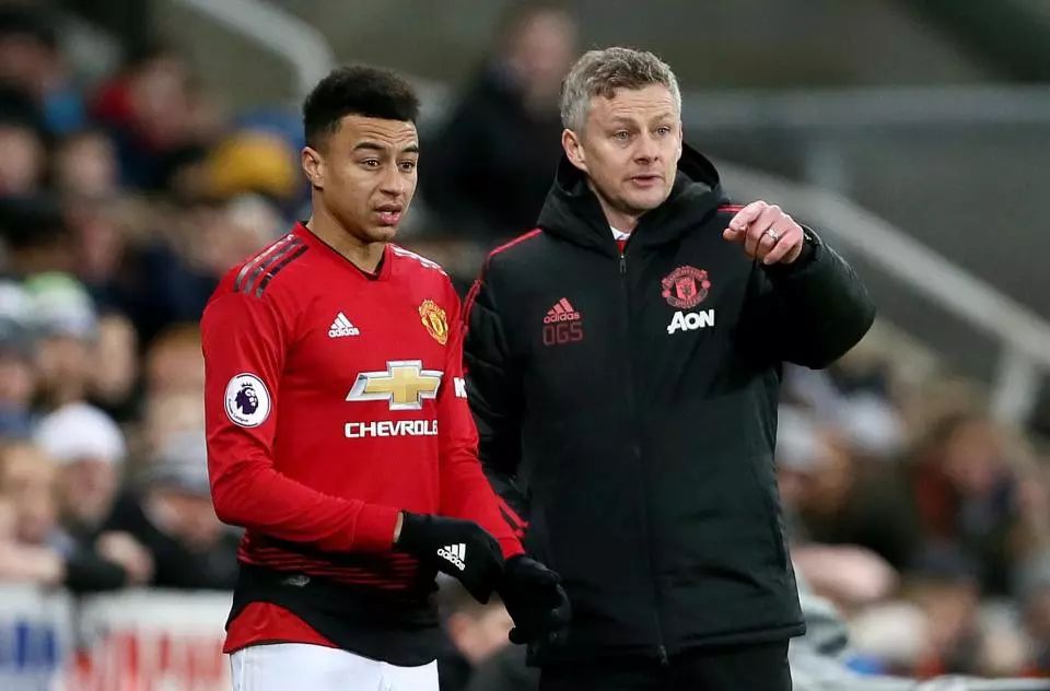 一次明显肢 一次明显肢